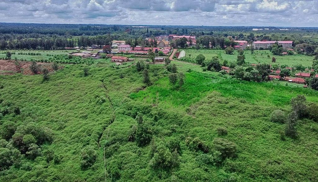 WhatsApp Image 2025-11-24 at 13.57.26