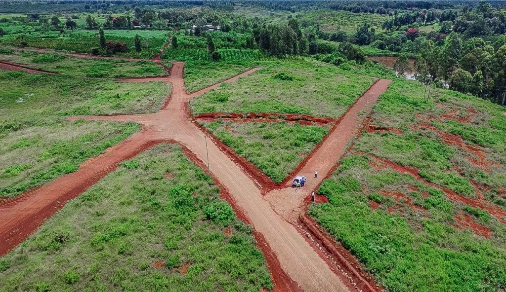 WhatsApp Image 2025-11-24 at 13.57.28 (1)