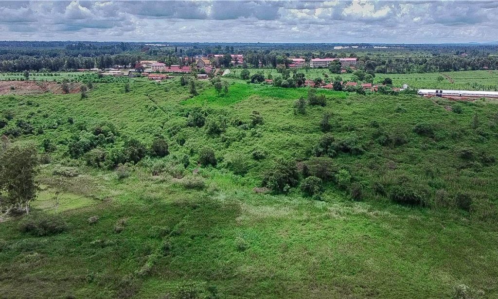 WhatsApp Image 2025-11-24 at 13.57.29 (1)