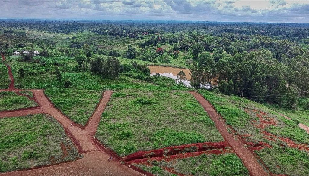 WhatsApp Image 2025-11-24 at 13.57.29