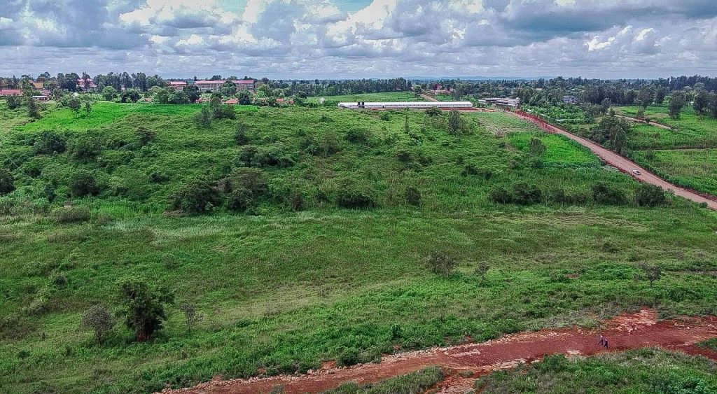 WhatsApp Image 2025-11-24 at 13.57.29 (4)